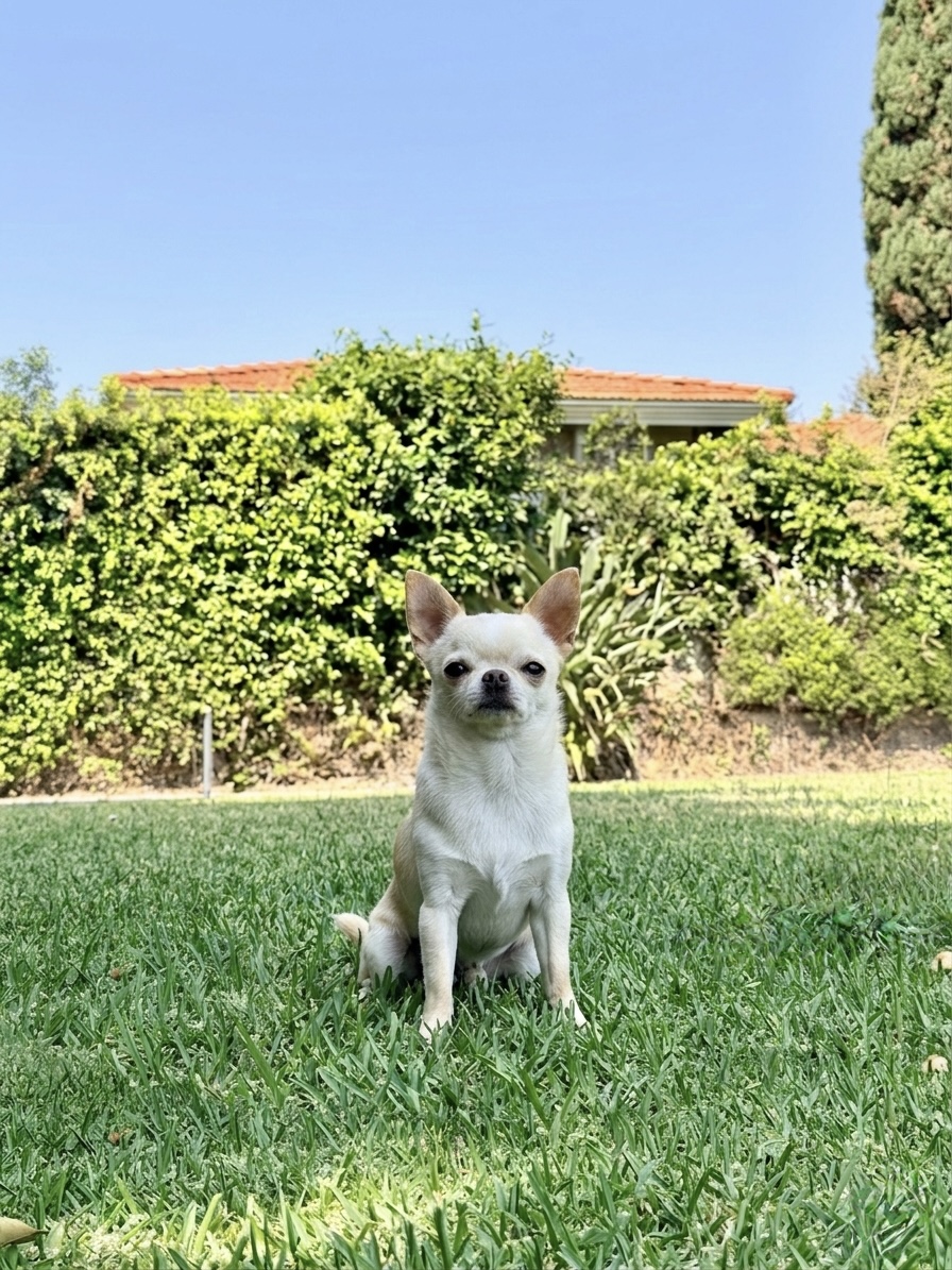 Coco