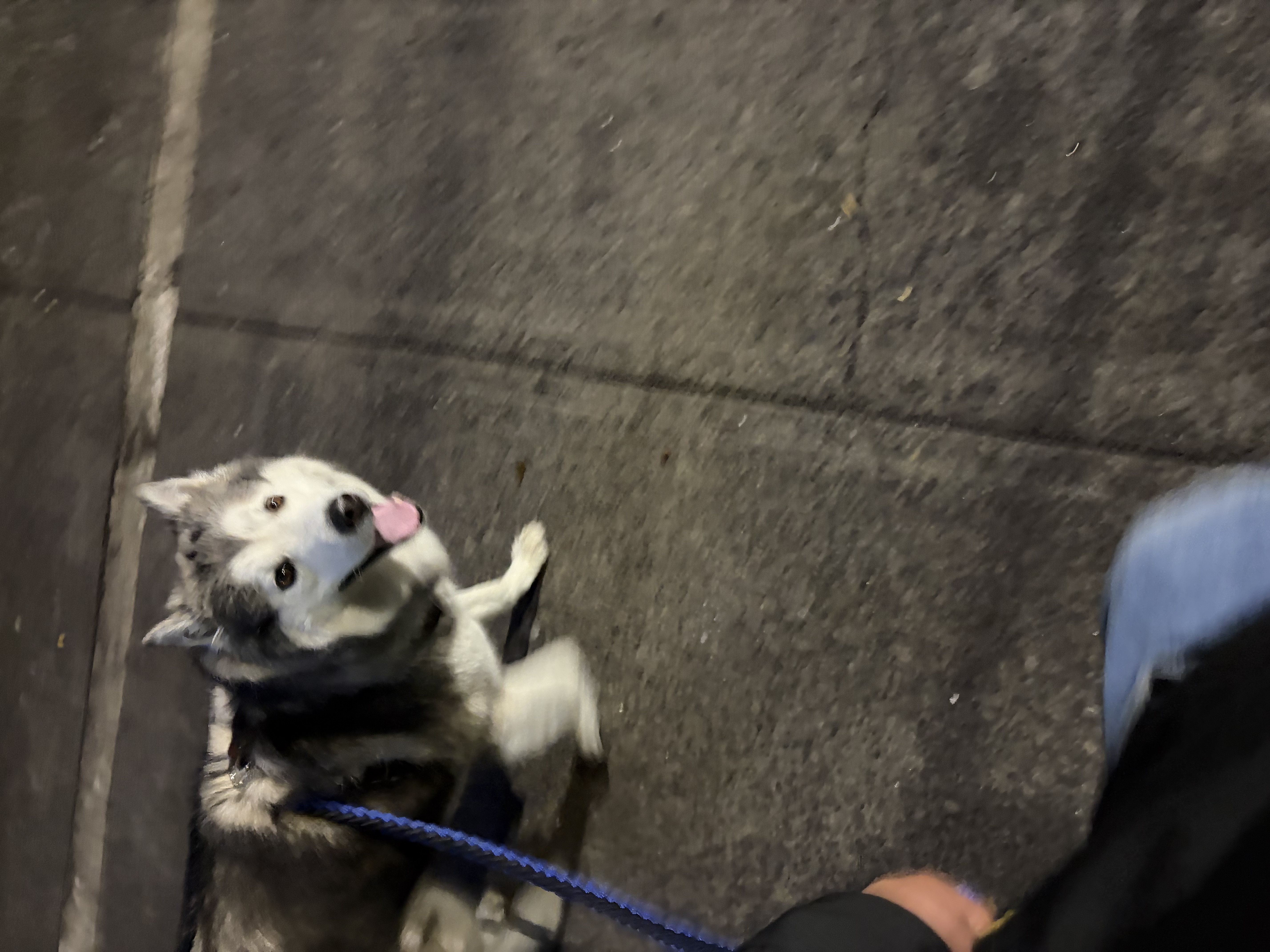 Max