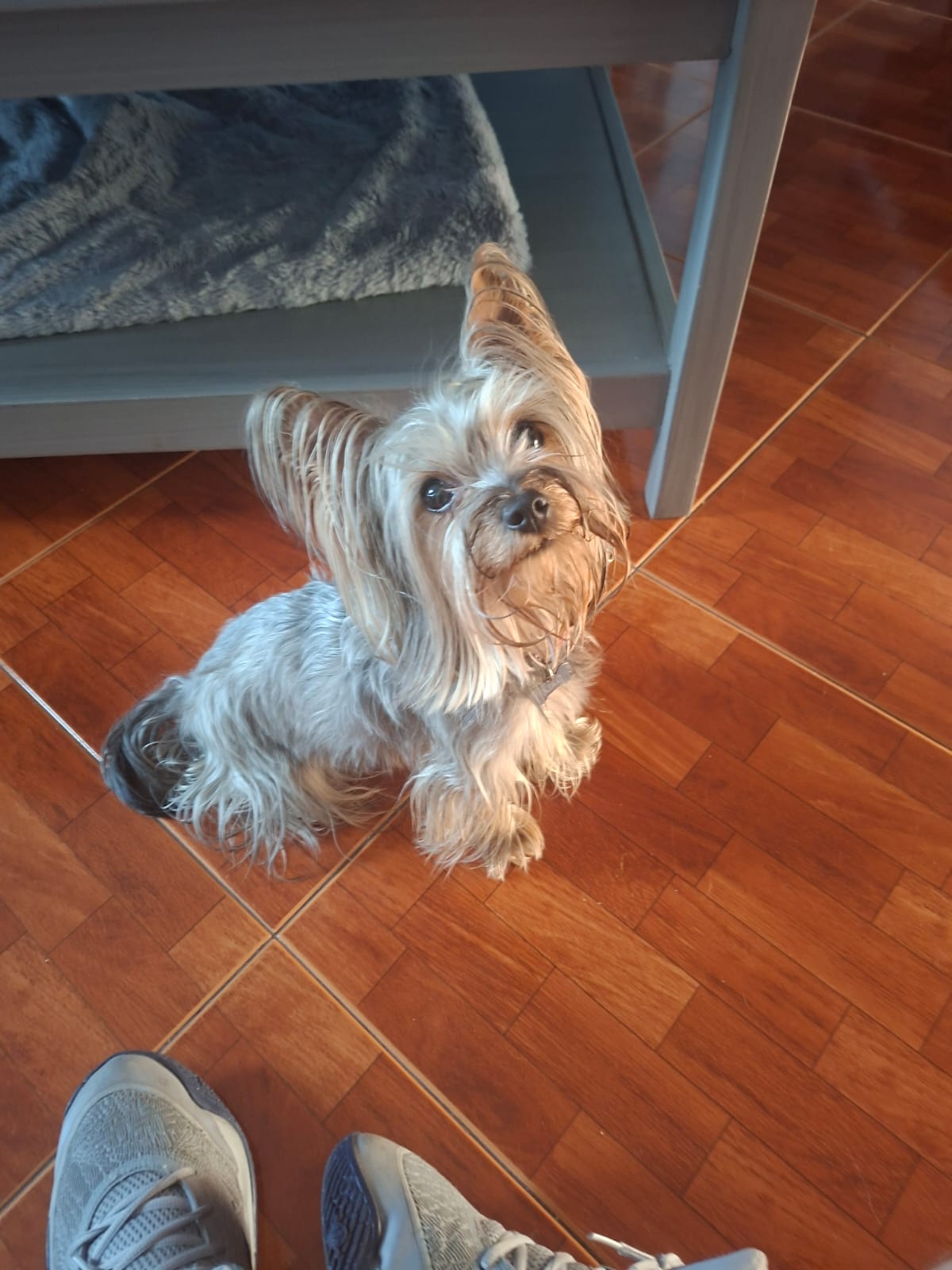 Kiko