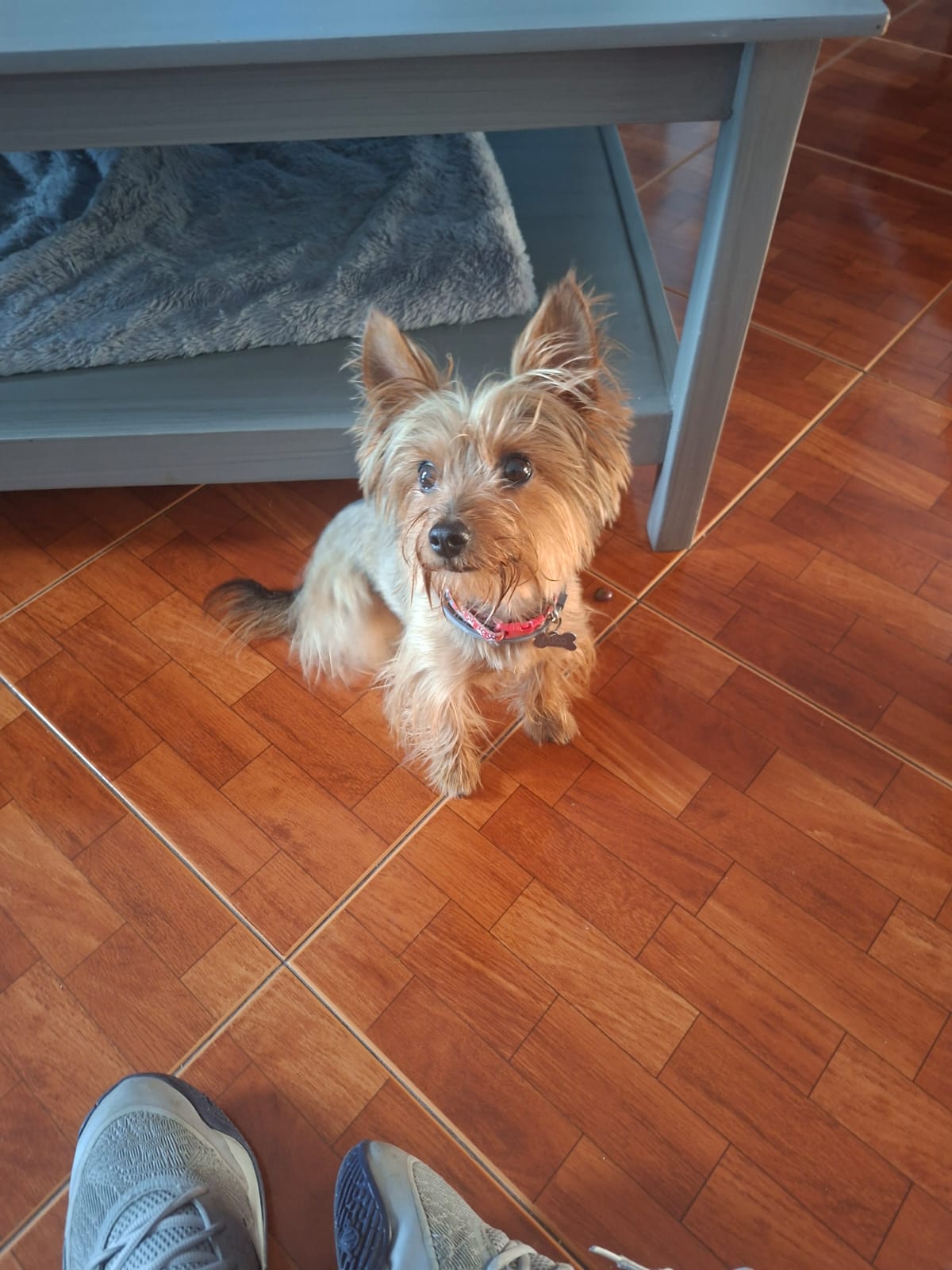 Cuco