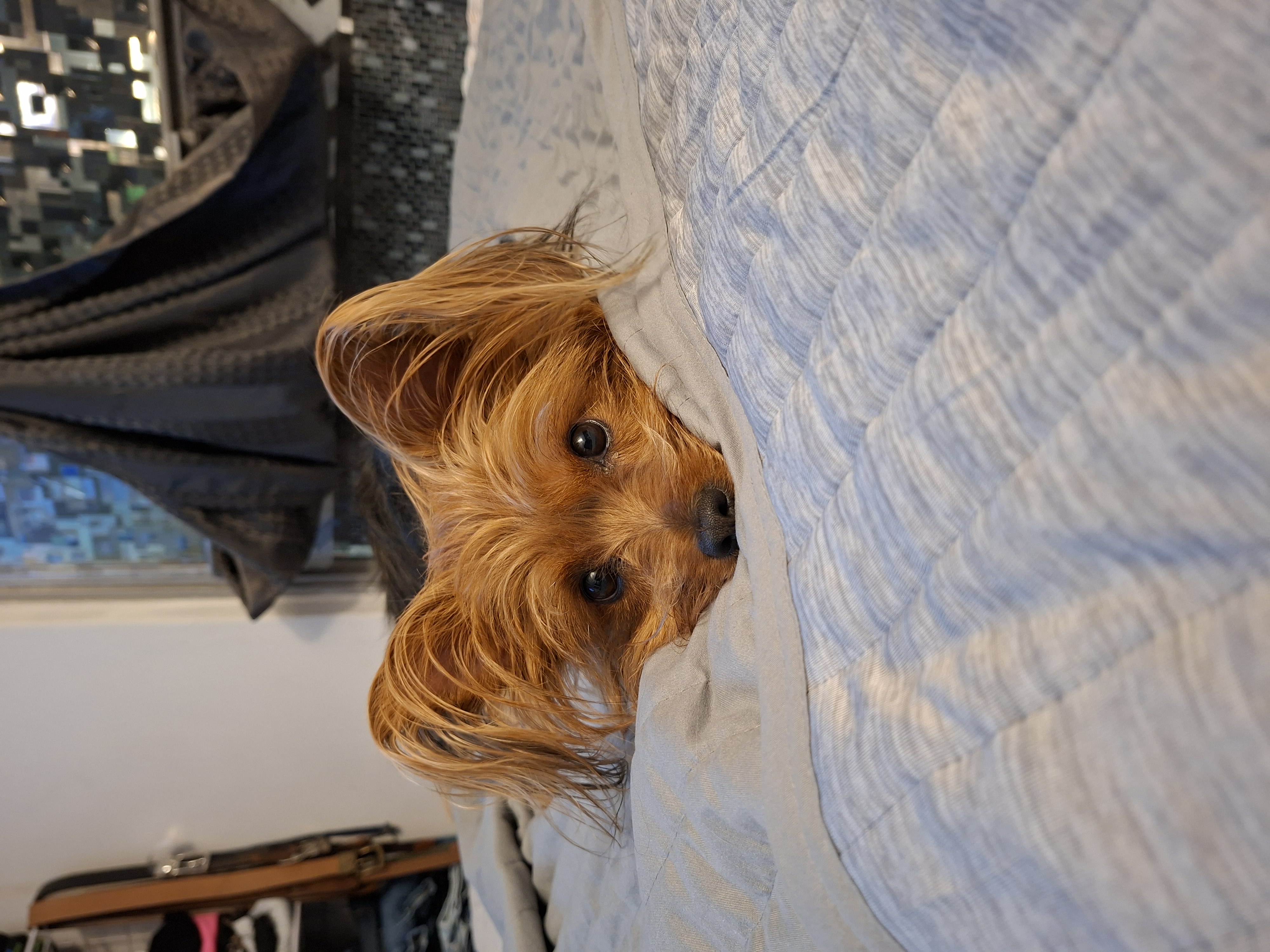 Kika