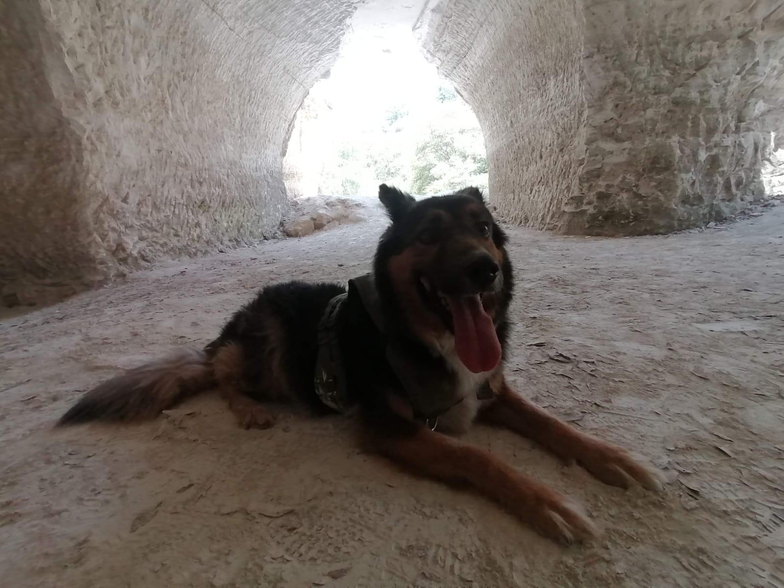 Chimuelo