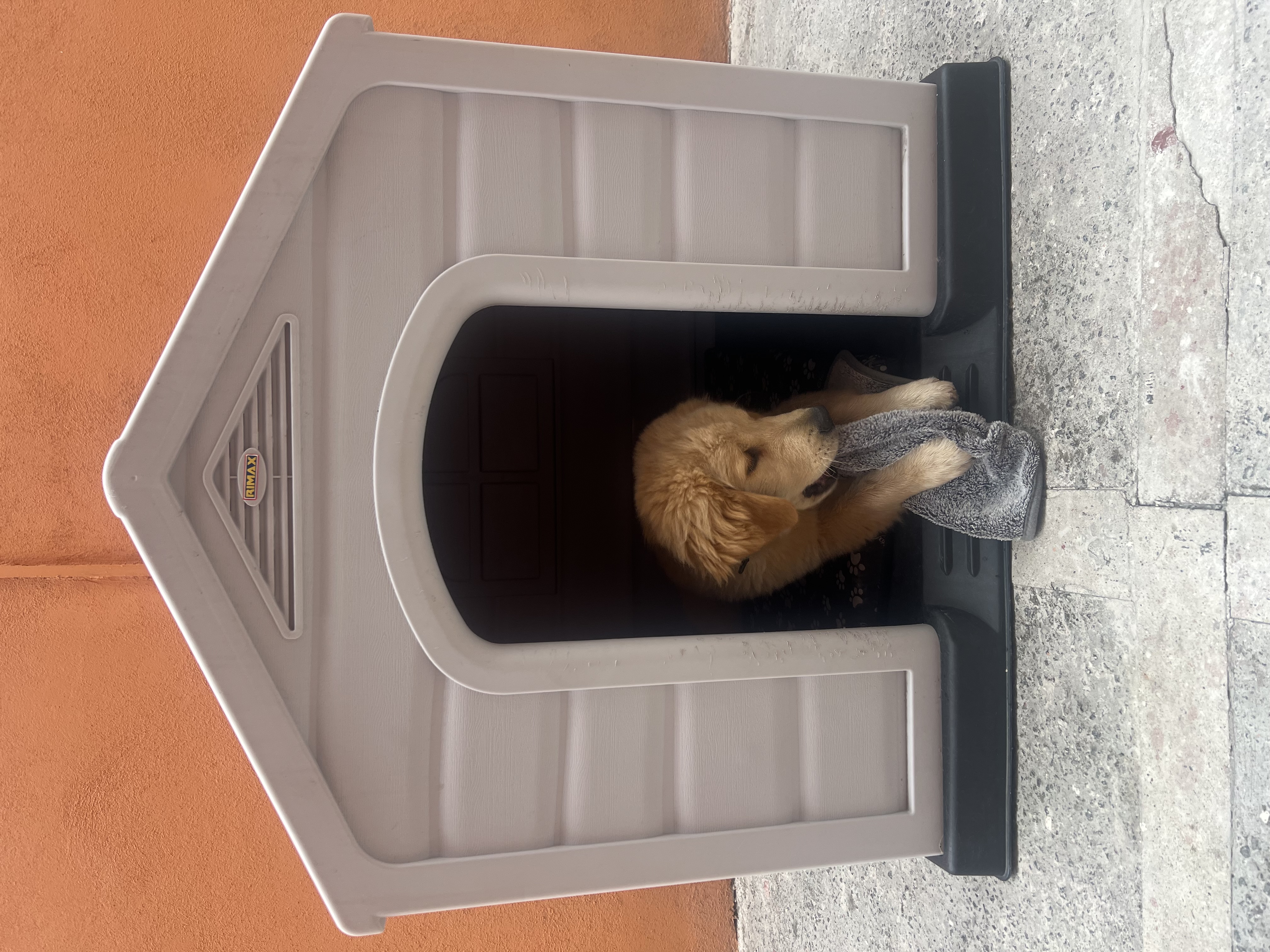 Max