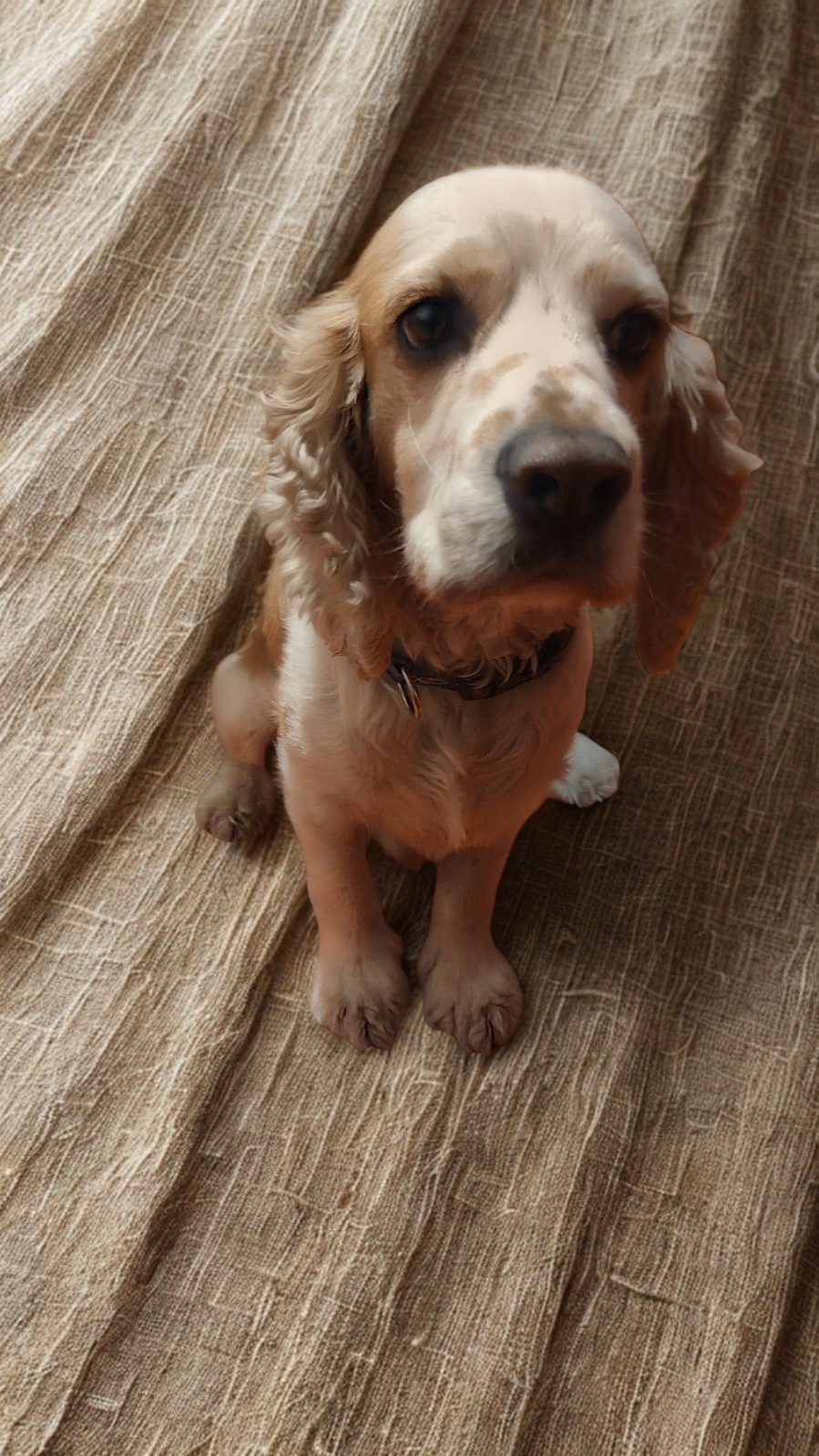 Boris