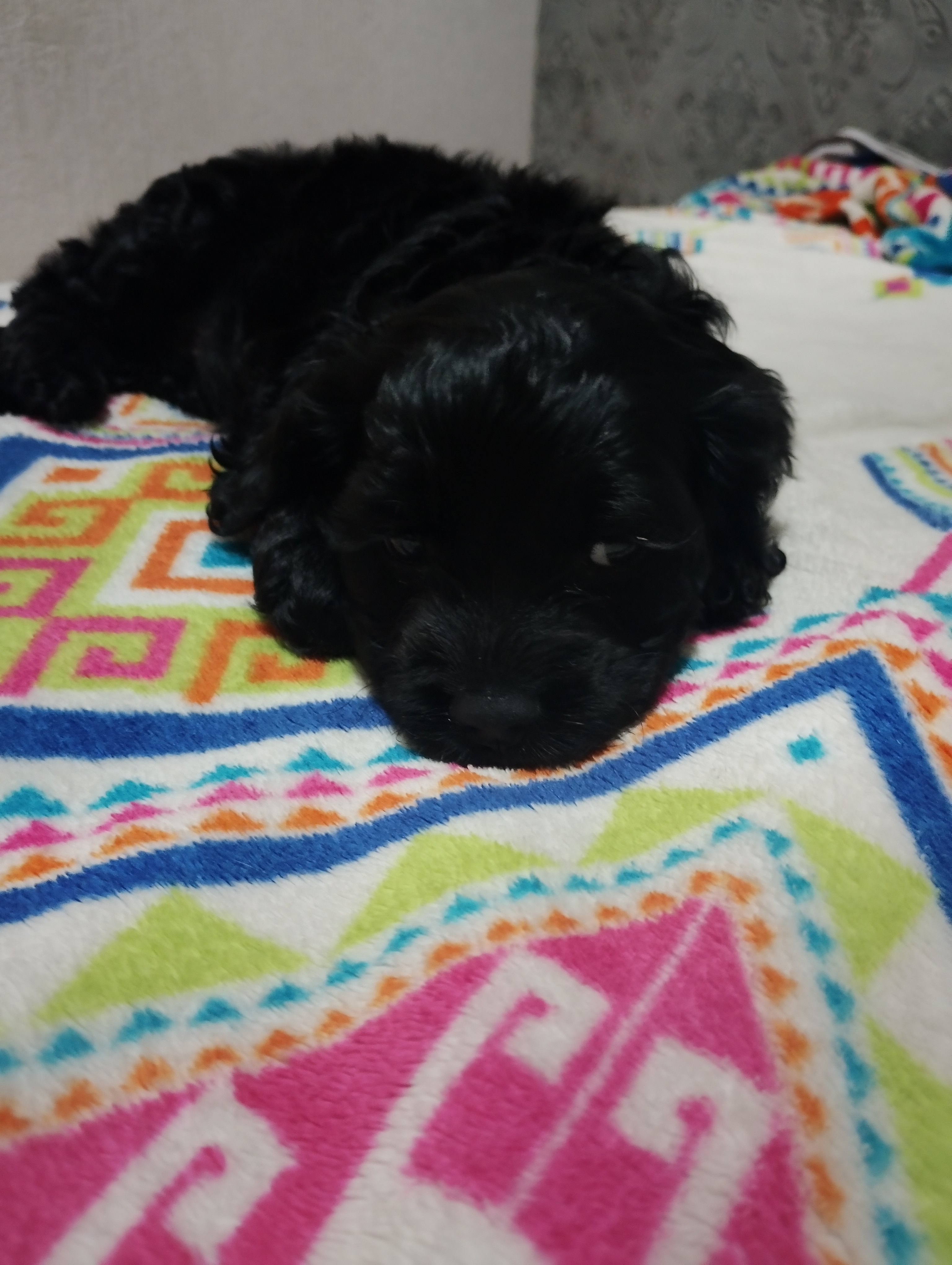 Luna