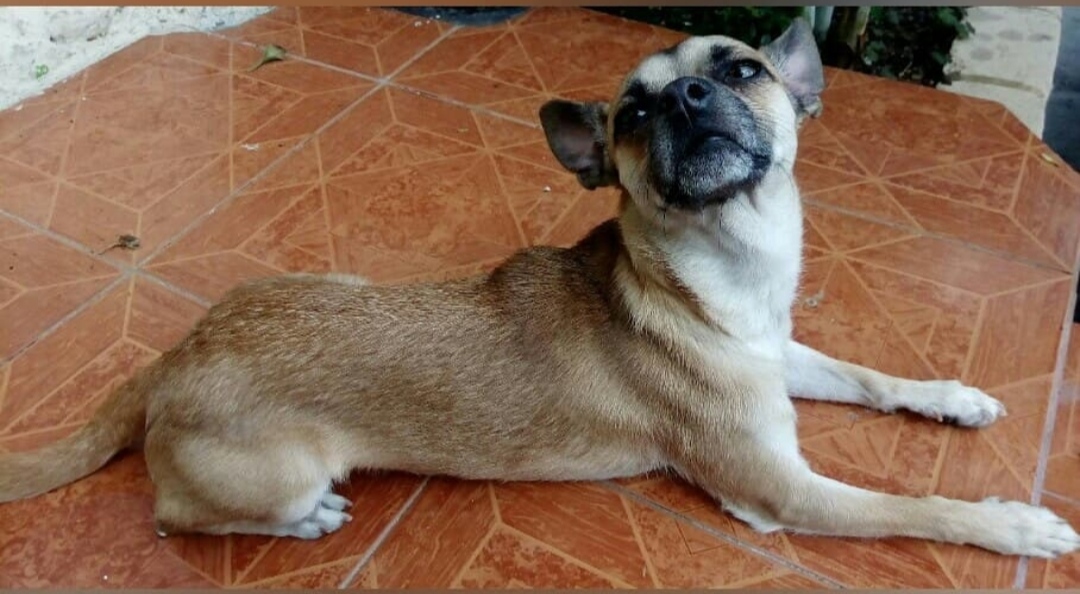 Ares
