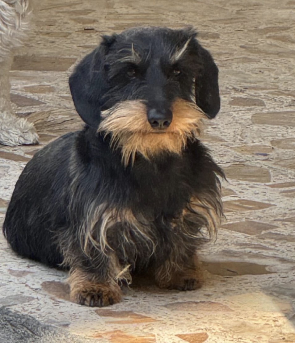 Venancio