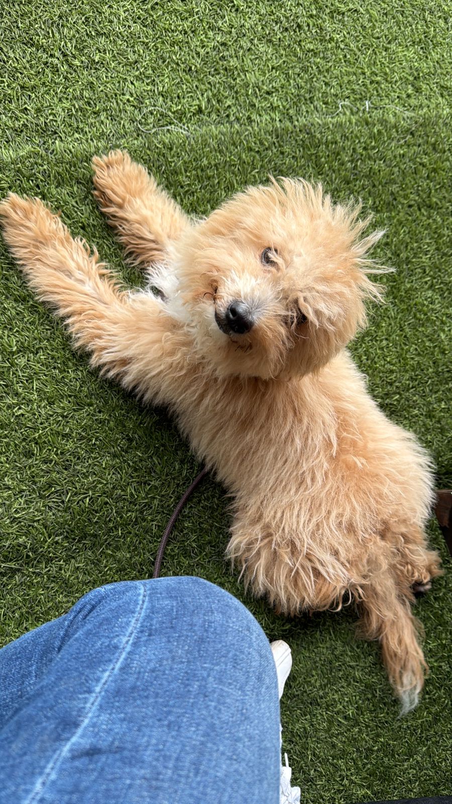 Milo