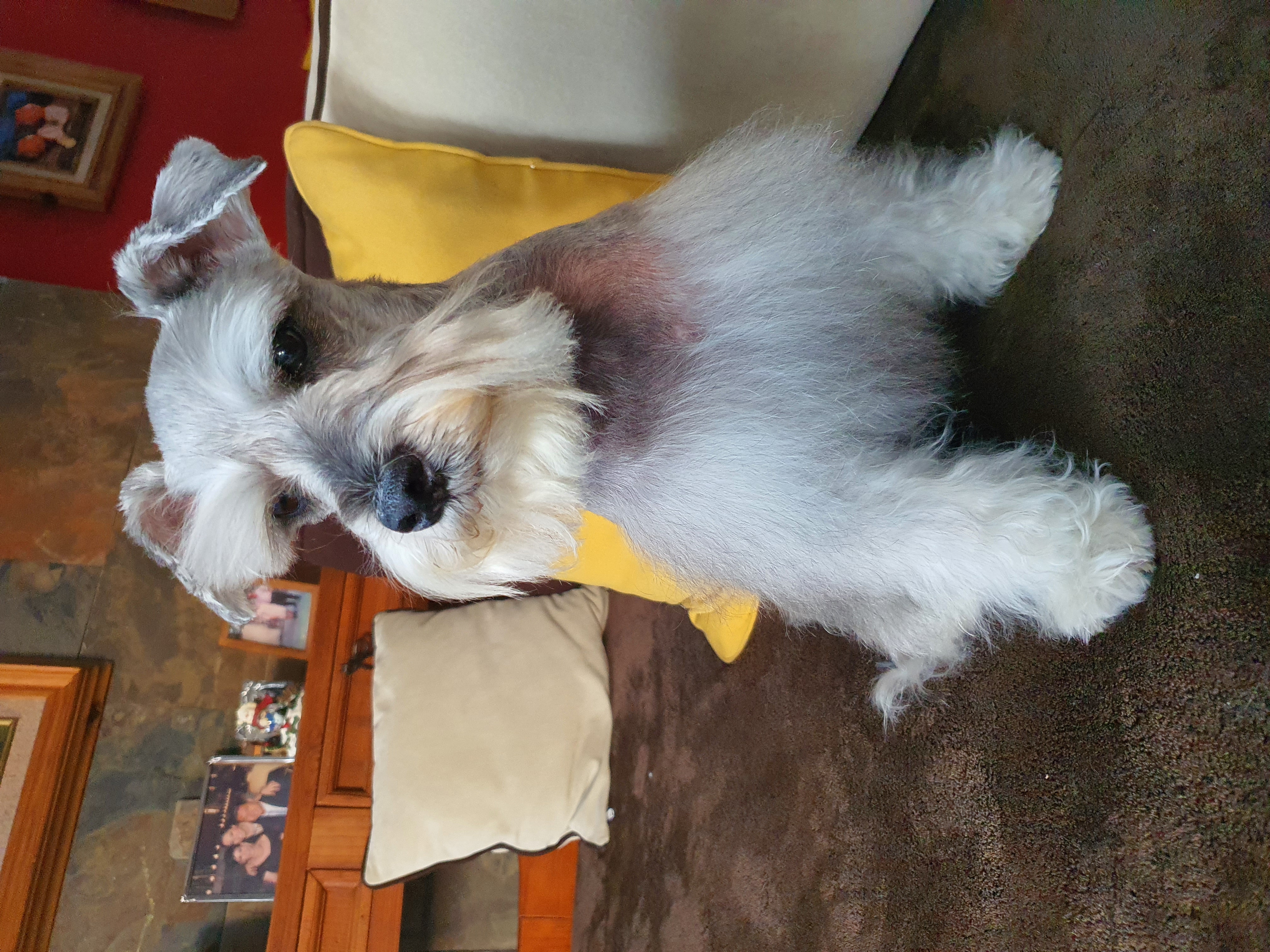 Max