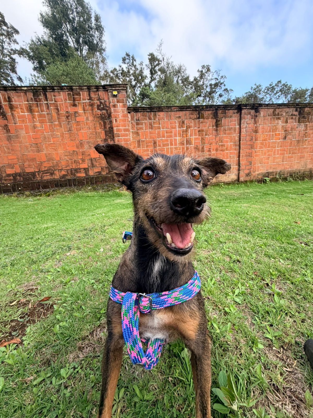 Milo