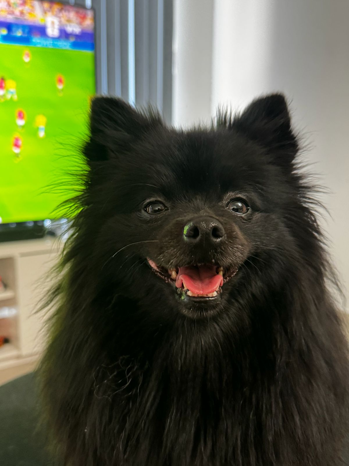 Blacky