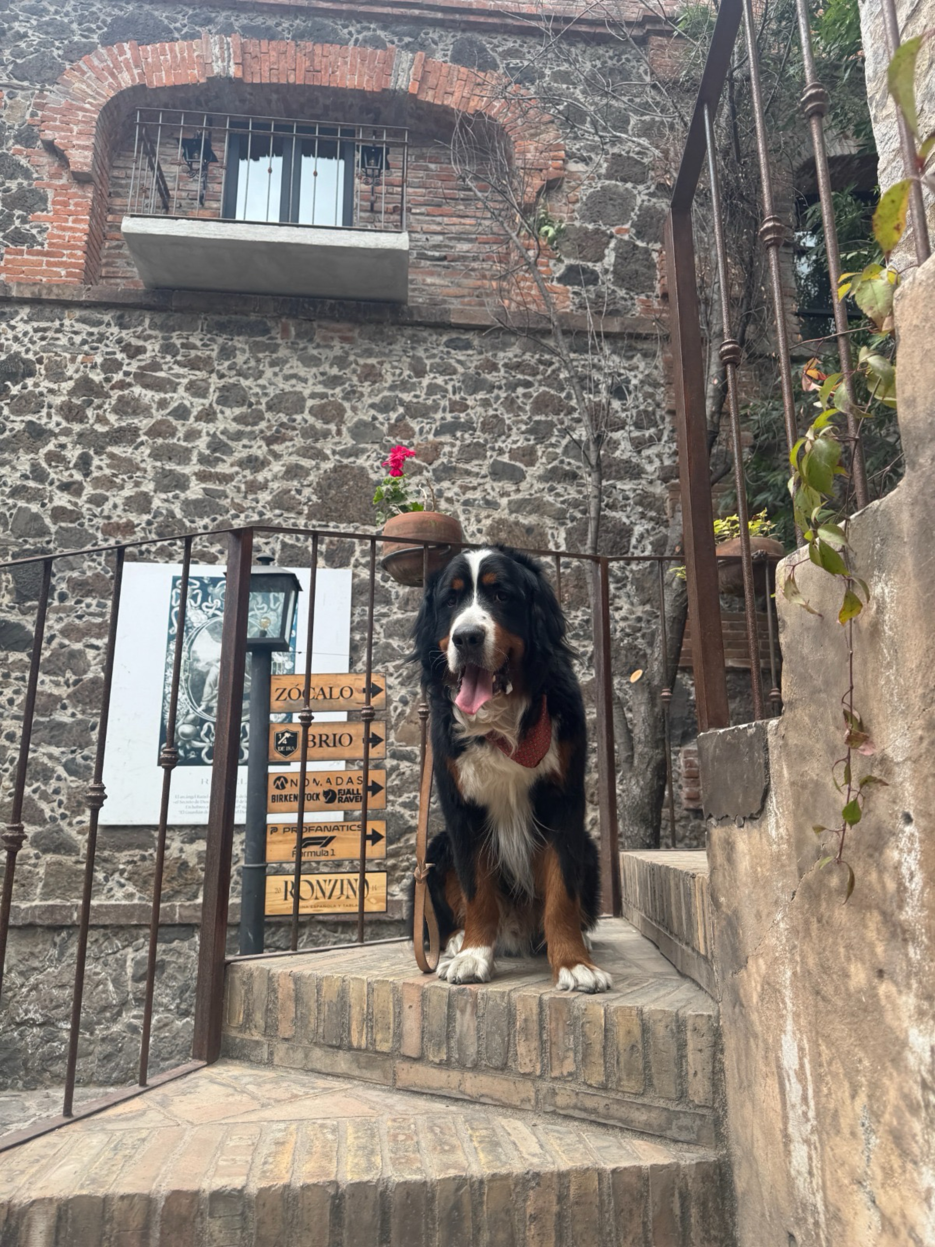 Koba