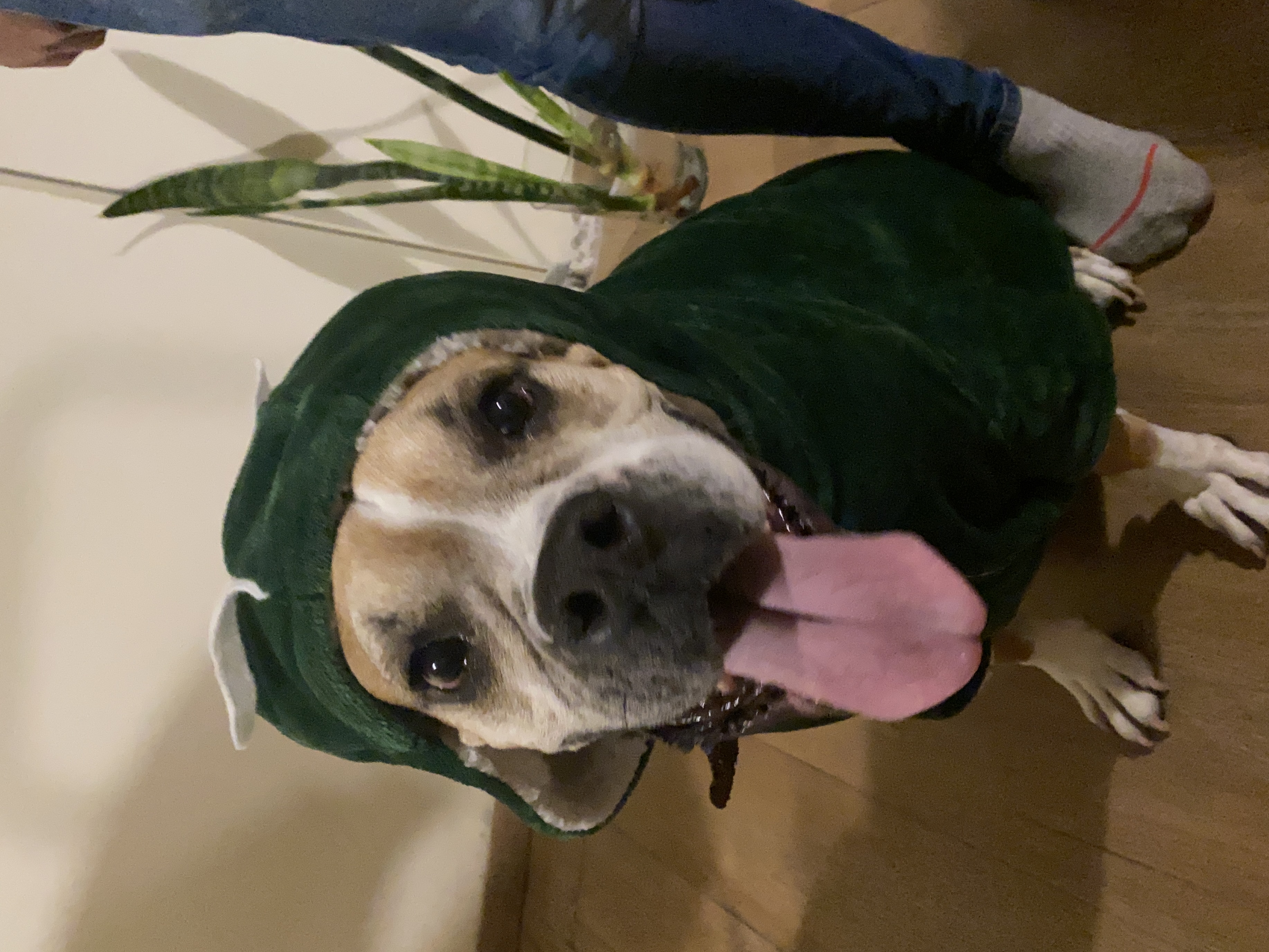Spike